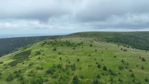 Protected landscape area Petrovy kameny mountain meadow tundra Jeseniky Video stock 336333391