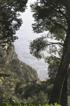 Protected reserve of Mount Pilgrim Stock Photos