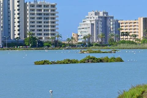 The protected salt pans of Calpe Stock Photos