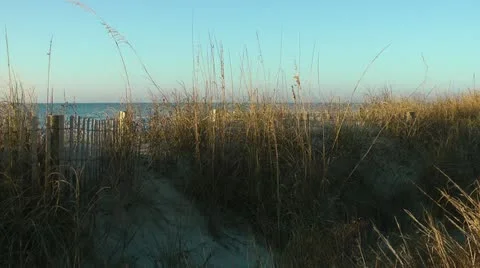 Protected sand dune Stock-Footage 11092698