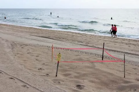 Protected sea turtle nest Stock Photos