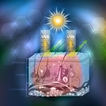 Protected skin with sunscreen lotion Illustrazione stock