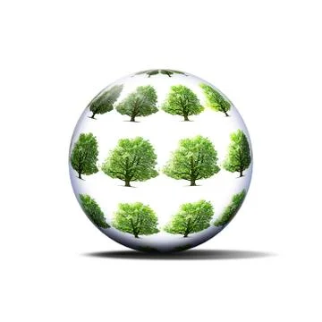 Protected tree Stock Photos