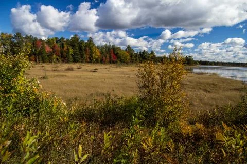 Protected Wetlands Stock Photos