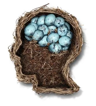 Protecting the brain Stock Illustration