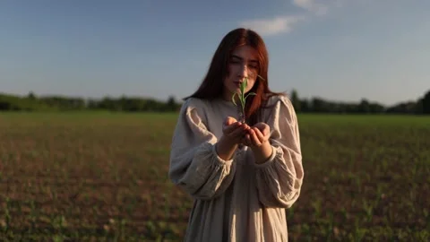 Protecting fragile seedling Stock Footage 337941725