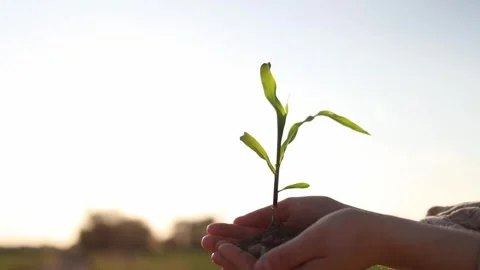 Protecting the future together Video stock 337941714