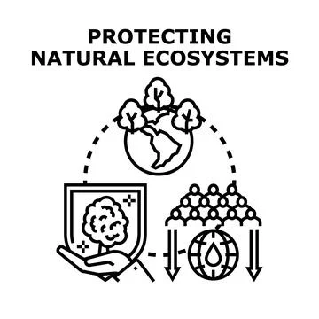 Protecting natural ecosystems for environmental conservation efforts Stock Illustration