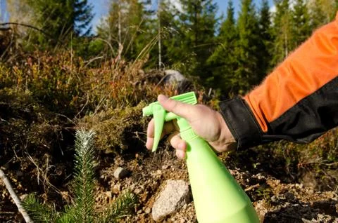 Protecting tree plants Stock Photos