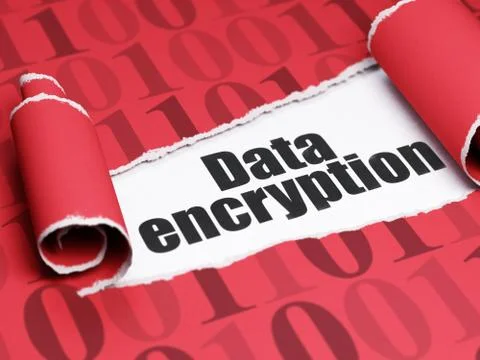 Protection concept: black text Data Encryption under the piece of  torn paper Illustrazione stock