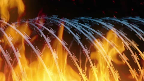 Protection Concept Fire And Razor Wire Stock Footage 220378073