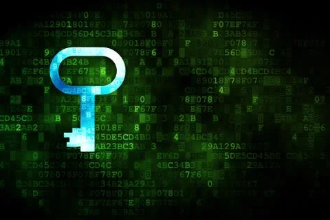 Protection concept: Key on digital background Stockillustratie