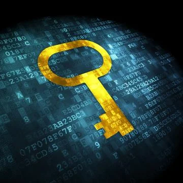 Protection concept: Key on digital background Stockillustratie