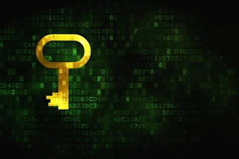 Protection concept: Key on digital background Stock Illustration