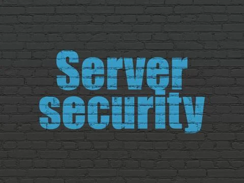 Protection concept: Server Security on wall background Stock Illustration