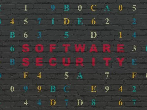 Protection concept: Software Security on wall background Illustrazione stock