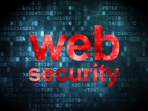 Protection concept: Web Security on digital background Stock Illustration