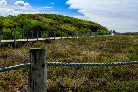 Protection of the dune cord of Stock Photos