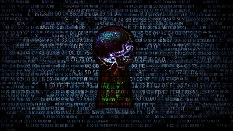 Protection of the network from Internet scammers Stock Footage 80189295