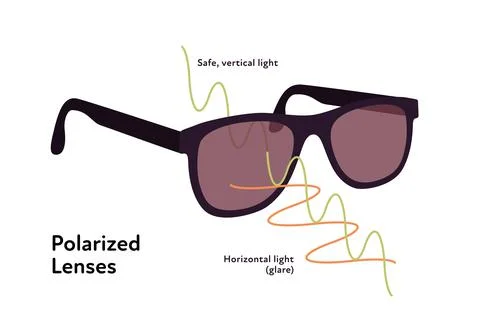 Sun protection infographic