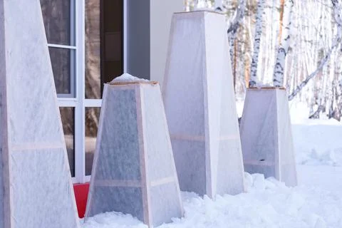 Protection of trees for the winter from wind, sun and frost Stock Photos
