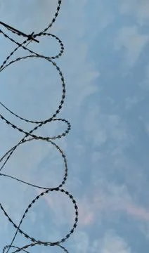 Protective barbed wire with sharp teeth, vertically. Stock Photos