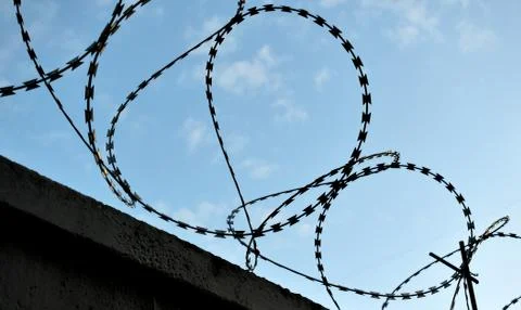 Protective barbed wire with sharp teeth on the fence Stock Photos