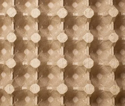 Protective cardboard packaging for storing and transporting eggs . Stock Photos