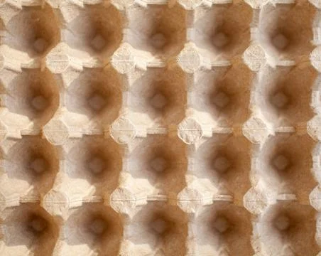 Protective cardboard packaging for storing and transporting eggs . Stock Photos
