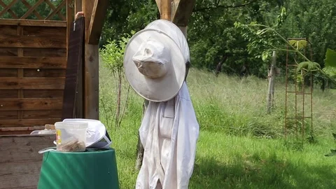  Protective clothing of a beekeeper Stock Footage 71192139
