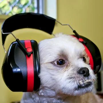 Protective ear muffs Stock Photos