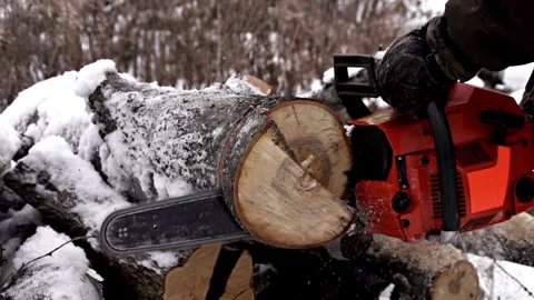 In protective gear cutting firewood timber tree in forest with chainsaw tree 库存影片 336570011