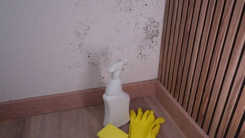 Protective gloves, spray detergent,sponge arranged on floor before clean mo.. Stock Footage 338188237