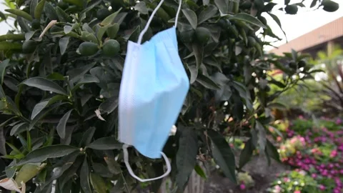 Protective mask on tree, debris problem with coronavirus. environmental pollutio Stock Footage 139533137