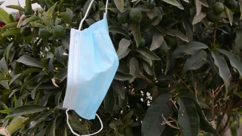 Protective mask on tree, debris problem with coronavirus. environmental pollutio Stock Footage 139533146