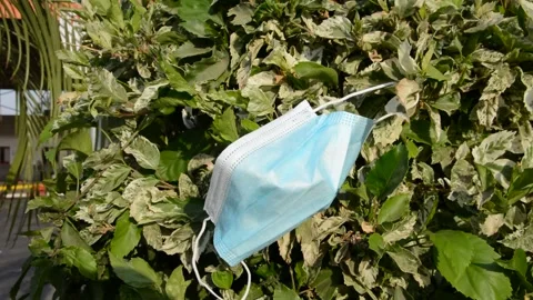 Protective mask on tree, debris problem with coronavirus. environmental pollutio Video stock 139533274