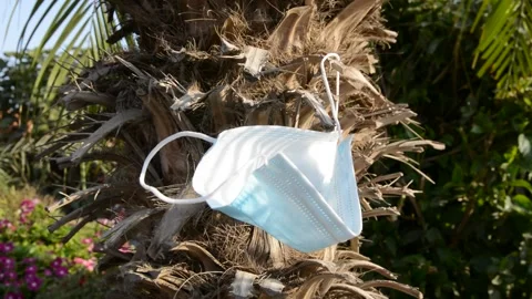 Protective mask on tree, debris problem with coronavirus. environmental pollutio Stock-Footage 139533343