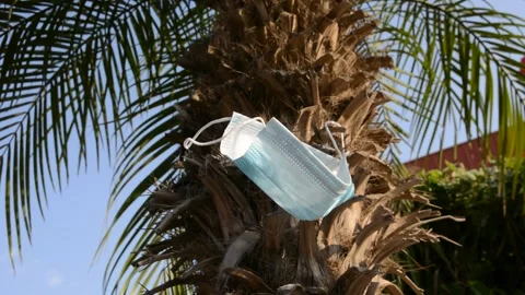 Protective mask on tree, debris problem with coronavirus. environmental pollutio Stock Footage 139533395