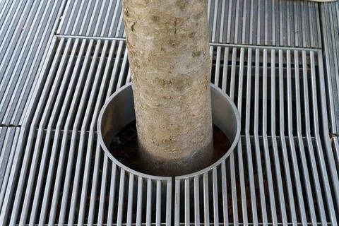 Protective metal grating of a tree trunk in the park. Foto stock