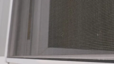 Protective Mosquito Net Mesh Installed on Modern White Window Frame Stock Footage 334735912