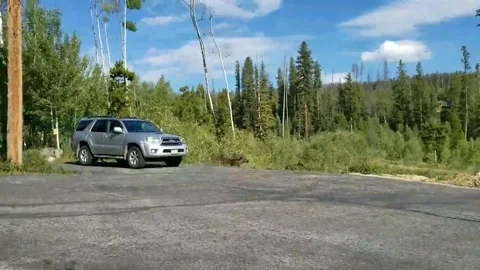 Protective mother moose tries to attack dog walker Stock Footage 109281613