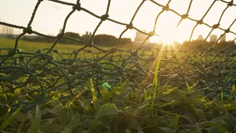 The protective net in the baseball field. Stock Footage 167297986