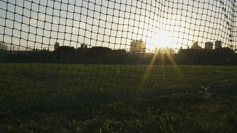 The protective net in the baseball field. Stock Footage 167298185