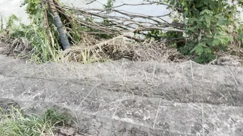 Protective Netting in a Garden Bed Vídeo Stock 343876848