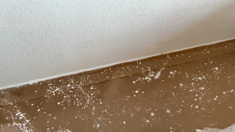 Protective paper on the floor during room painting job 스톡 동영상 341362962