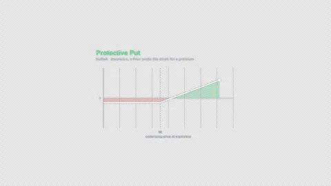 Protective Put Options Strategy Payoff Diagram Animation Alpha 4K 動画素材 339322054