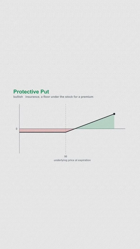 Protective Put Options Strategy Payoff Diagram Alpha 4K Vertical 9x16 Light Stock-Footage 339506972