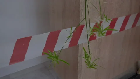 Protective tape Stock Footage 139603754