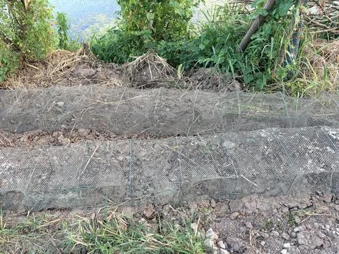 Protective Wire Mesh Covering Soil on Riverside Slope 스톡 사진