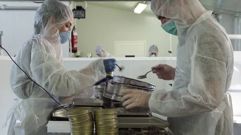 Protective Workwear, Manual Worker, Manufacturing Occupation, Working, Hygiene, Video stock 94388896